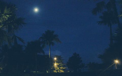 【6月19-21日】第二屆南農(nóng)中美豬業(yè)高峰論壇第二輪通知