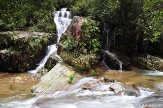 5月16日國內(nèi)維生素E：行情穩(wěn)定
