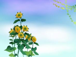 3月15日魚粉早報：利空氣氛圍繞國內魚粉市場