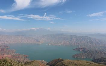 國內大豆產業政策亟待調整