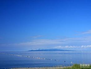 3月31日國內維生素B：價格平穩