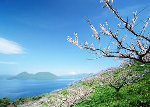 中國(guó)將建官方獸醫(yī)派駐制度提高動(dòng)物檢疫水平