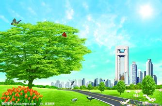 豬只福利---豬需要什么