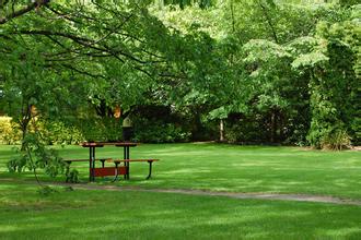 潘軍—發酵原料及其抗菌肽在乳豬上的應用與展望