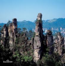 東方希望集團(tuán)20萬噸飼料項(xiàng)目將落戶我市