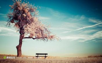  飼料取樣釬的正確使用