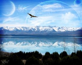 中華人民共和國農業部公告第1338號