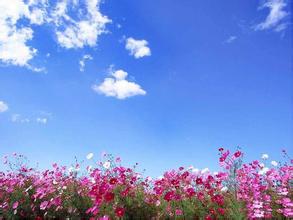 2013年4月2日港口魚粉價格