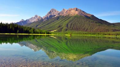 10月17日魚粉早報:飼料廠繼續(xù)隨買隨用