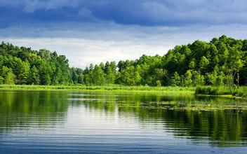 關(guān)于舉辦“飼料配方師”高級研修班的通知