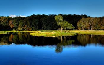 教你簡單方法判斷脫霉劑產品處理霉菌毒素