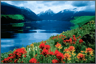 歐洲蛋氨酸四季度備貨進行中