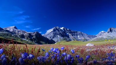 如何儲存飼料避免霉變