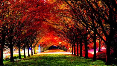 孫子兵法在飼料企業管理的應用