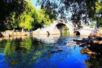 飼料工業進入正常調整期 產業拓展空間廣闊