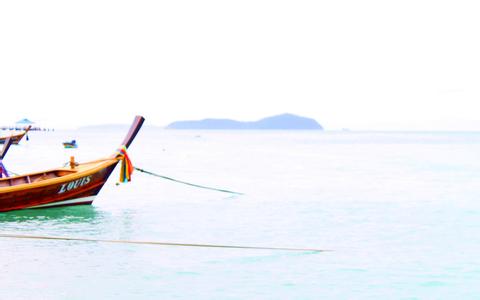 油脂在養豬生產上的應用
