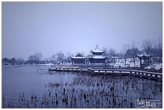 玉米與淀粉期價高升水面臨考驗