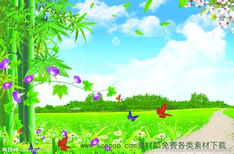 肉價大跌養豬戶清欄 為下一輪暴漲埋隱患