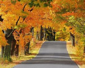 3月17日魚粉主要港口價格行情　　