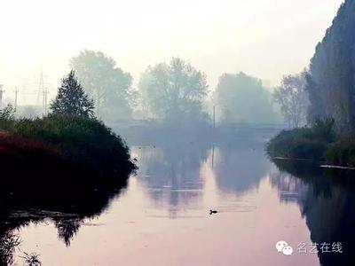 2016年6月22日國內玉米深加工企業即時報價