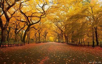 12月25日福州港魚粉市場穩定