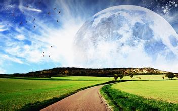 采食量是乳豬教槽料的第一標(biāo)準(zhǔn)