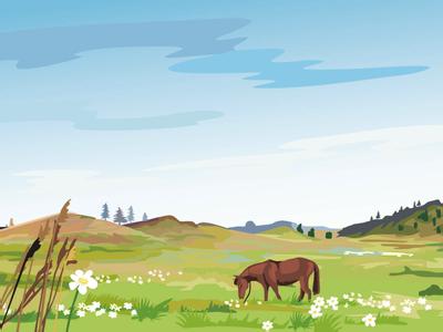 氯化膽堿原料的摻假識(shí)別