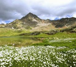 中華人民共和國(guó)農(nóng)業(yè)部公告第1379號(hào)