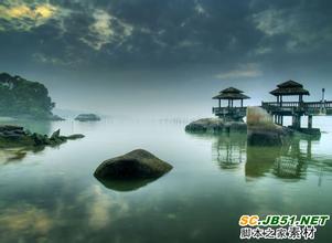  飼料添加劑最新研究進展