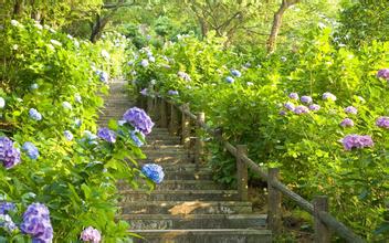 敕勒川國際動物疫苗創(chuàng)新大會盛大開幕 —“科技引領(lǐng)未來 共享同一健康”