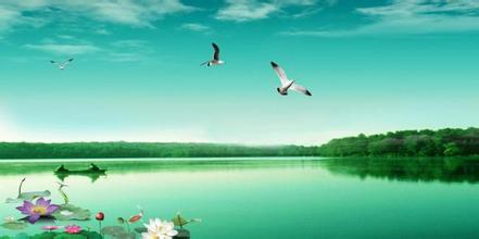 斷奶仔豬的蛋白質(zhì)原料該如何選擇