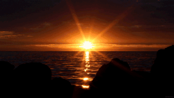 關于有機微量元素的幾個問題的討論