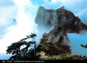 4月22日國內(nèi)維生素B：價格平穩(wěn)