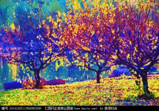 低聚木糖——肉雞飼料好伴侶

(來源：中國畜牧獸醫報-中國農業新聞網)