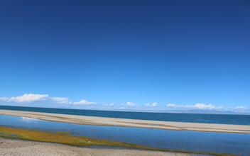 玉米價格持續走弱 關注明日定向拍賣