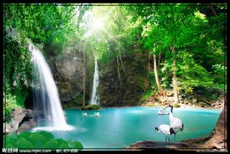 油脂問題，有圖求解