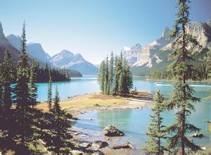  飼喂微貯料品質要保證