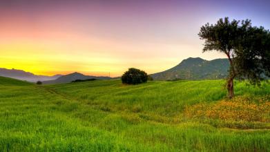 大康牧業首日收漲20.79%