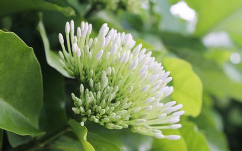 預混料制作的質量控制