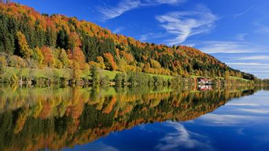 最新國產(chǎn)魚粉價格