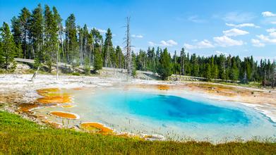 全國部分地區生豬及仔豬價格-03.26