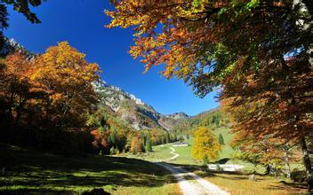 哪些藥物可防止飼料霉變？