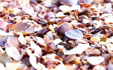 4月22日國內(nèi)維生素A：行情平穩(wěn)　