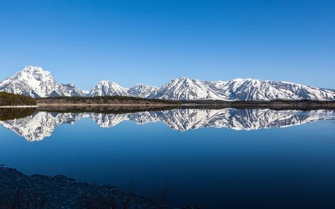  飼料質量的簡易鑒定法