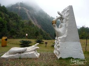 如何正確的選購健康仔豬？